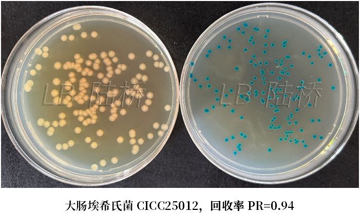GB 4789.38-2025《食品安全國(guó)家標(biāo)準(zhǔn) 食品微生物學(xué)檢驗(yàn) 大腸埃希氏菌計(jì)數(shù)》解讀 GB 4789.38-2025《食品安全國(guó)家標(biāo)準(zhǔn) 食品微生物學(xué)檢驗(yàn) 大腸埃希氏菌計(jì)數(shù)》解讀