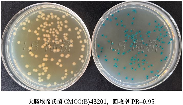 GB 4789.38-2025《食品安全國(guó)家標(biāo)準(zhǔn) 食品微生物學(xué)檢驗(yàn) 大腸埃希氏菌計(jì)數(shù)》解讀 GB 4789.38-2025《食品安全國(guó)家標(biāo)準(zhǔn) 食品微生物學(xué)檢驗(yàn) 大腸埃希氏菌計(jì)數(shù)》解讀