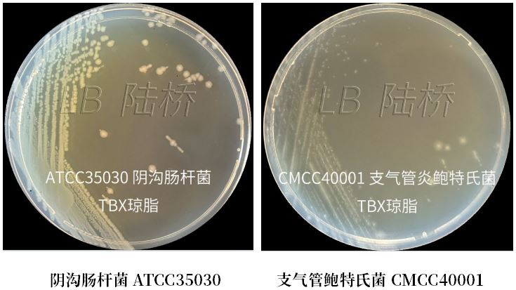 GB 4789.38-2025《食品安全國(guó)家標(biāo)準(zhǔn) 食品微生物學(xué)檢驗(yàn) 大腸埃希氏菌計(jì)數(shù)》解讀 GB 4789.38-2025《食品安全國(guó)家標(biāo)準(zhǔn) 食品微生物學(xué)檢驗(yàn) 大腸埃希氏菌計(jì)數(shù)》解讀