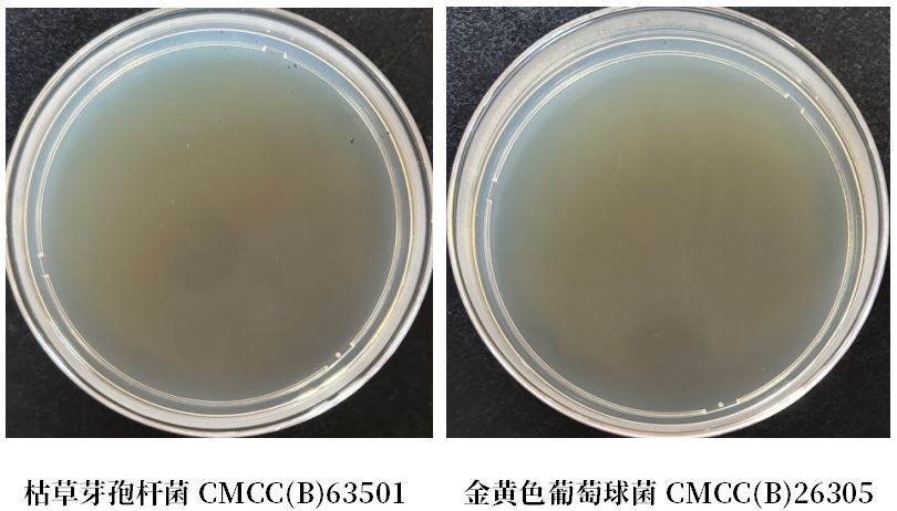 GB 4789.38-2025《食品安全國(guó)家標(biāo)準(zhǔn) 食品微生物學(xué)檢驗(yàn) 大腸埃希氏菌計(jì)數(shù)》解讀 GB 4789.38-2025《食品安全國(guó)家標(biāo)準(zhǔn) 食品微生物學(xué)檢驗(yàn) 大腸埃希氏菌計(jì)數(shù)》解讀