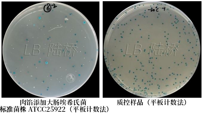 GB 4789.38-2025《食品安全國(guó)家標(biāo)準(zhǔn) 食品微生物學(xué)檢驗(yàn) 大腸埃希氏菌計(jì)數(shù)》解讀 GB 4789.38-2025《食品安全國(guó)家標(biāo)準(zhǔn) 食品微生物學(xué)檢驗(yàn) 大腸埃希氏菌計(jì)數(shù)》解讀
